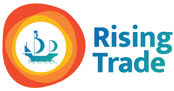 risingtradeexim.com